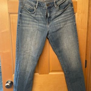 Cosmic Blue Love from Stitch Fix Size 14 Boyfriend Jeans